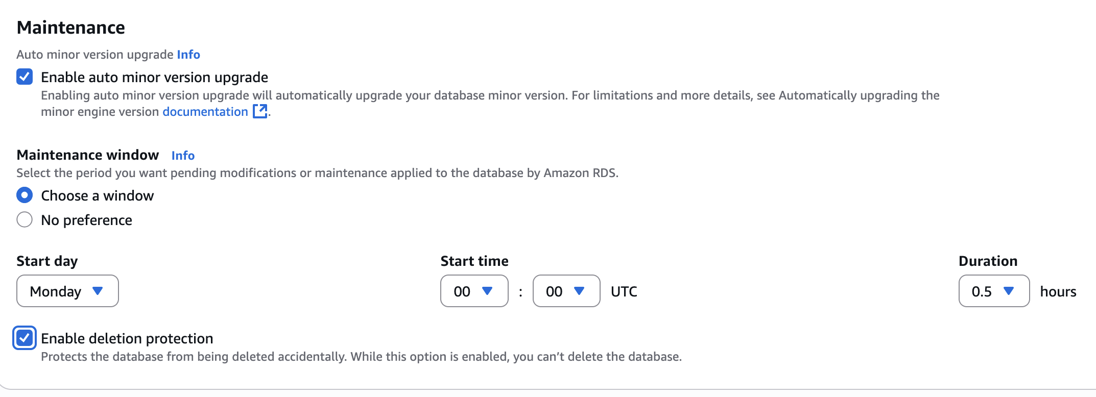 Maintenance-innstillinger med vedlikeholdsvindu og Enable deletion protection avhuket